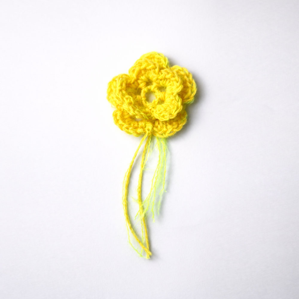 Iris-Fantasia-fleur-de-bouton-jaune Iris-Fantasia-fleur-de-bouton-jaune