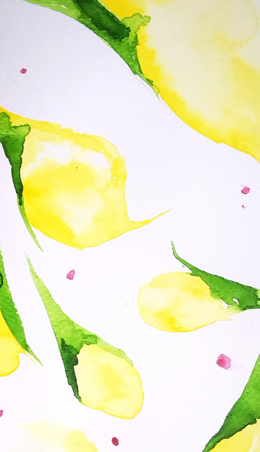 i&f aquarelle aquarelle